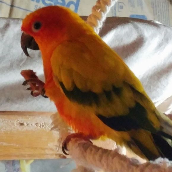 Hi, I'm Eve...& I'm a Poshaholic! - Picture 6 of 8